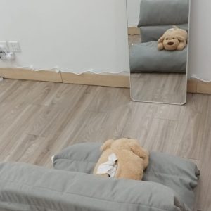 自我療癒鏡子練習 + 正面肯定句抄寫工作坊